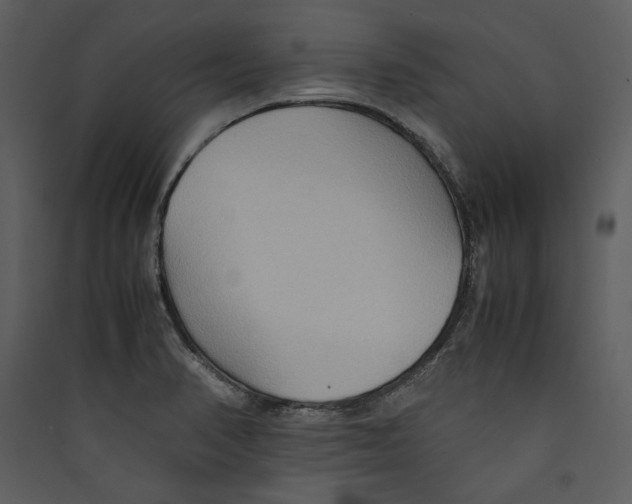 X0000089371374200707131627