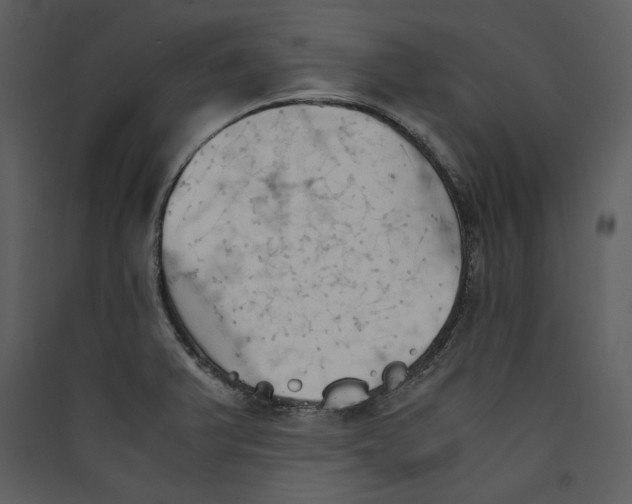 X0000089371375200707131627