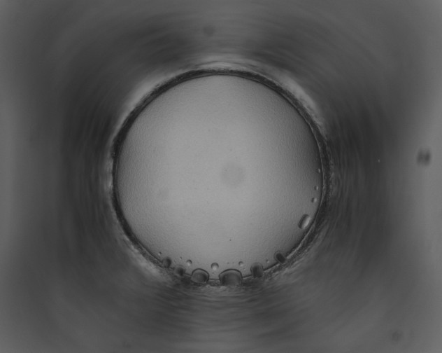 X0000089371376200707131627