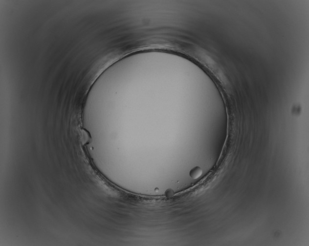 X0000089371377200707131627