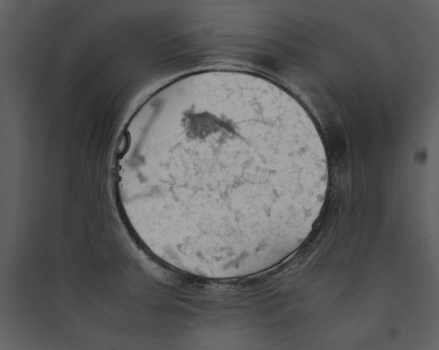 X0000089371379200707131627