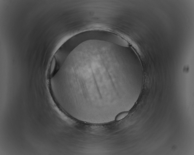 X0000089371383200707131627