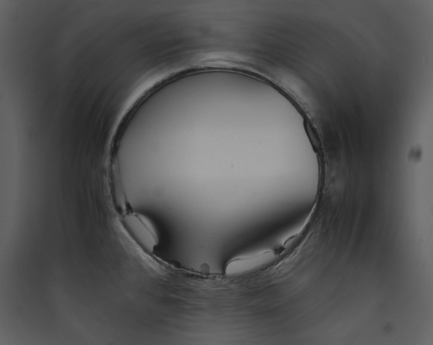 X0000089371384200707131627