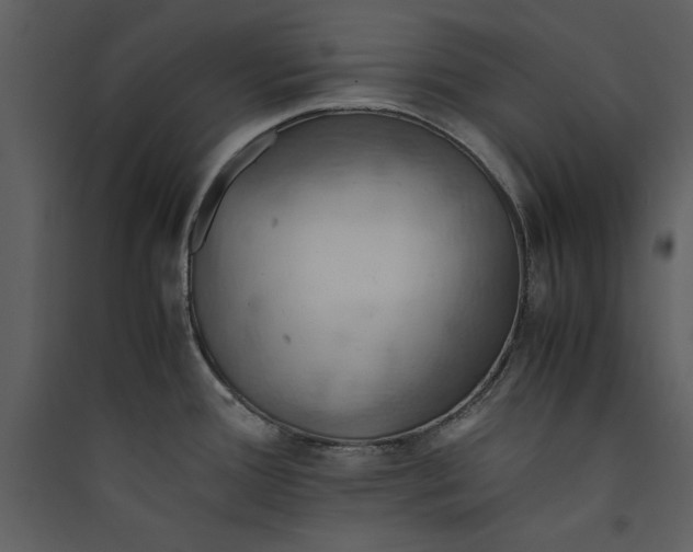 X0000089371388200707131627