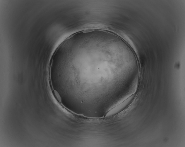 X0000089371389200707131627