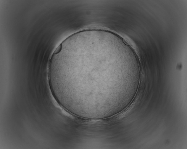 X0000089371390200707131627