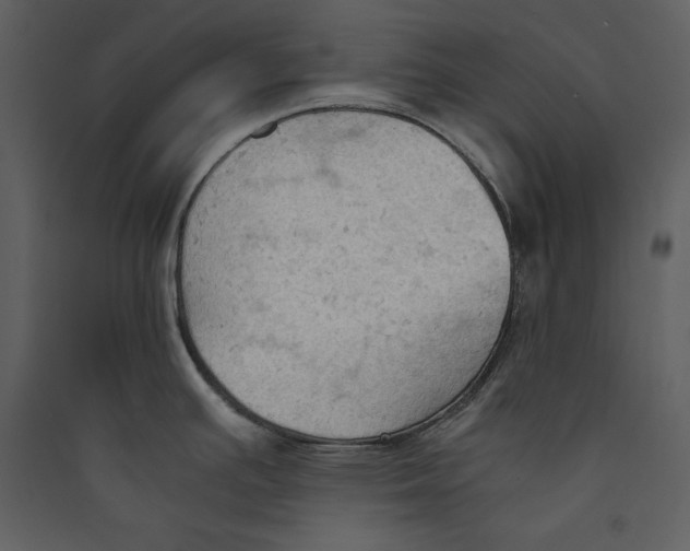 X0000089371391200707131627