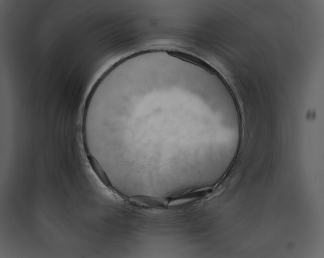 X0000089371392200707131627