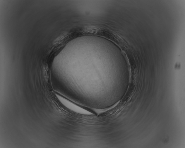 X0000089371394200707131626