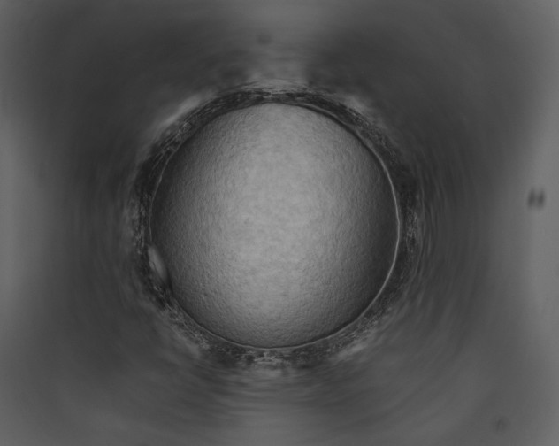 X0000089371398200707131627