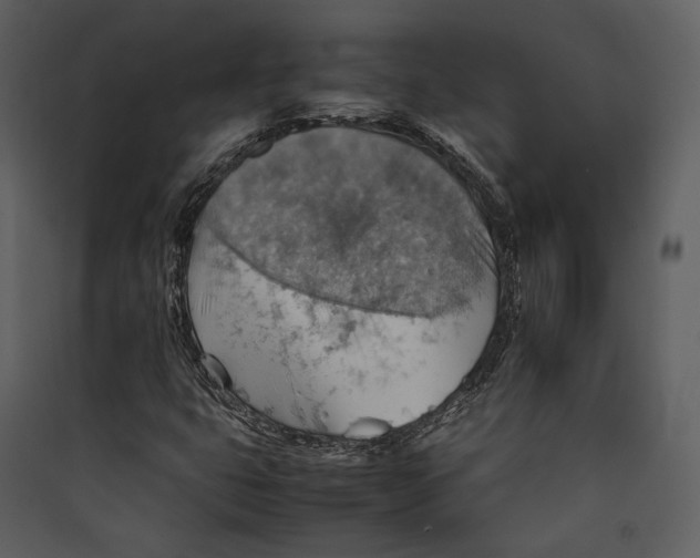 X0000089371399200707131627