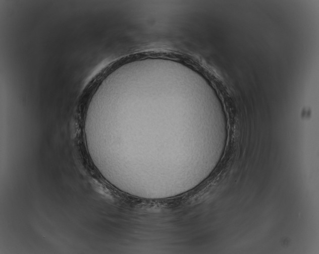 X0000089371400200707131627