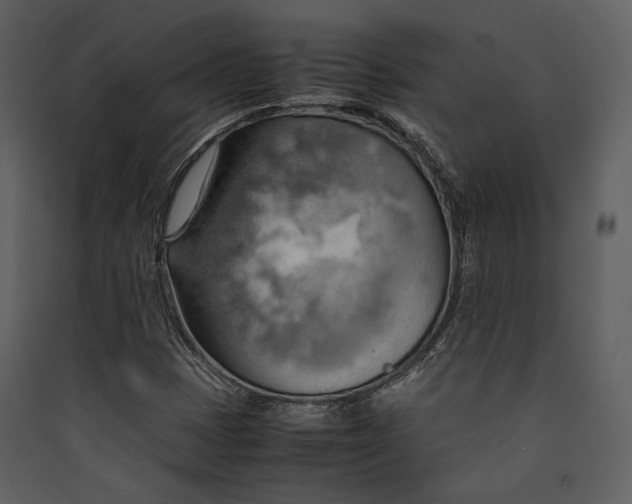 X0000089371401200707131627