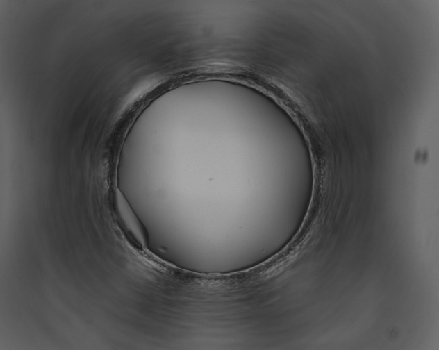 X0000089371402200707131627