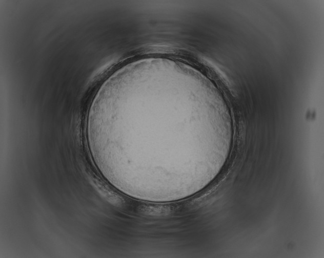 X0000089371403200707131627