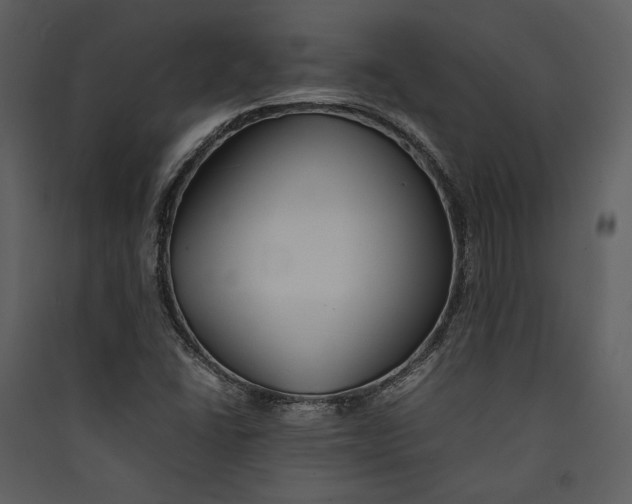 X0000089371406200707131627