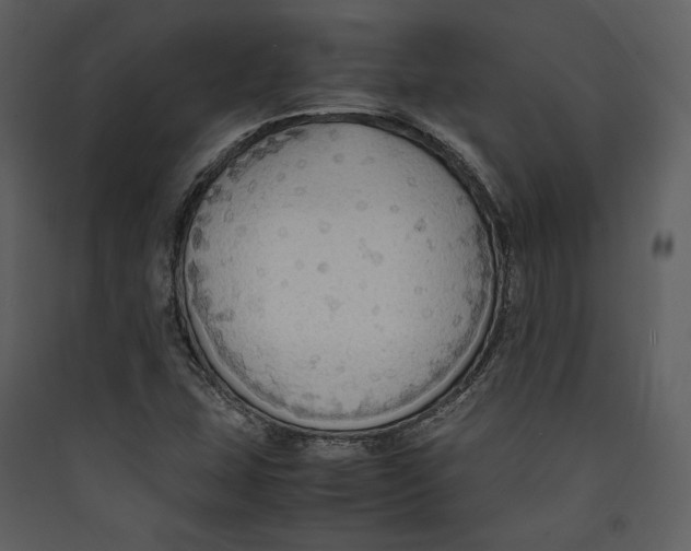 X0000089371407200707131627