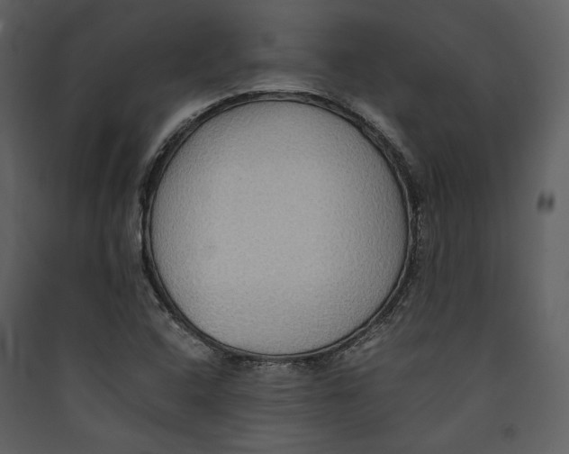 X0000089371408200707131627