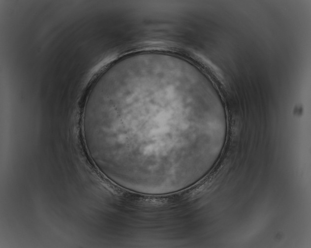 X0000089371411200707131627