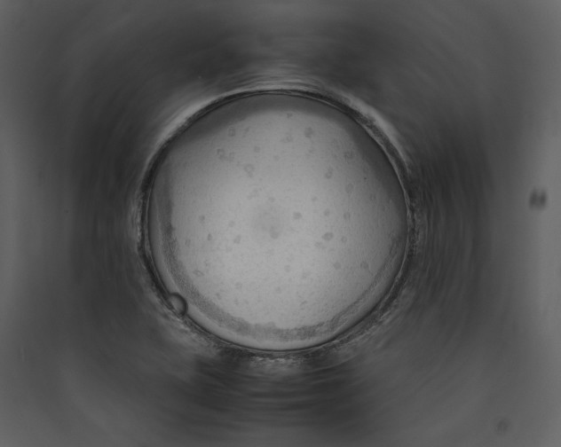 X0000089371415200707131627