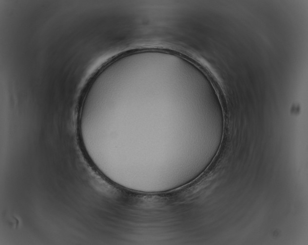 X0000089371416200707131627