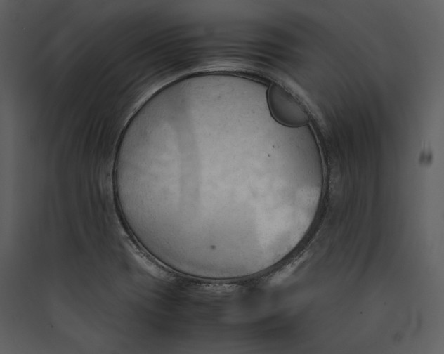 X0000089371417200707131627