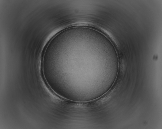 X0000089371418200707131627