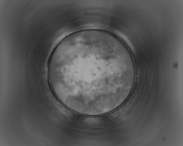 X0000089371419200707131627