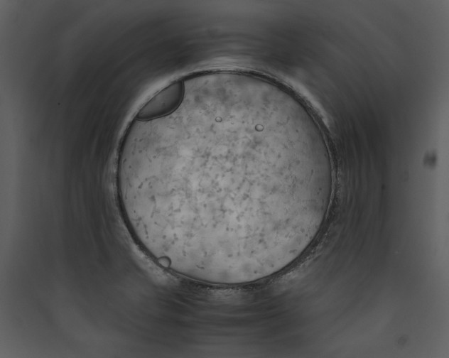 X0000089371421200707131627