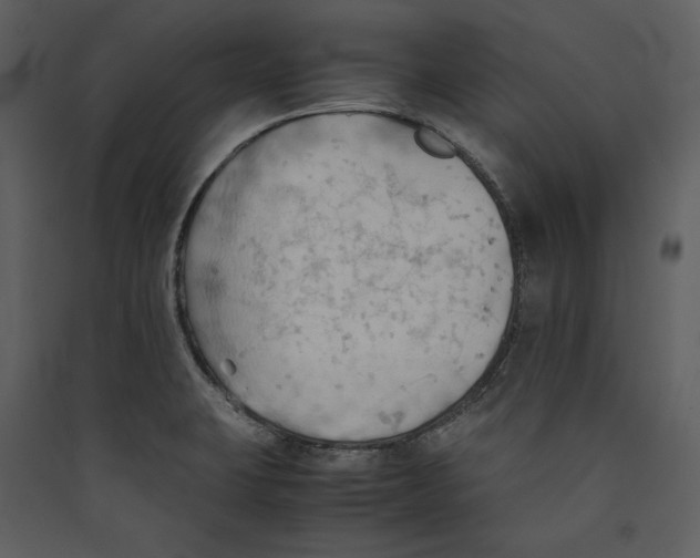 X0000089371423200707131627