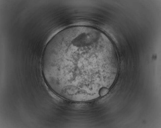 X0000089371425200707131627