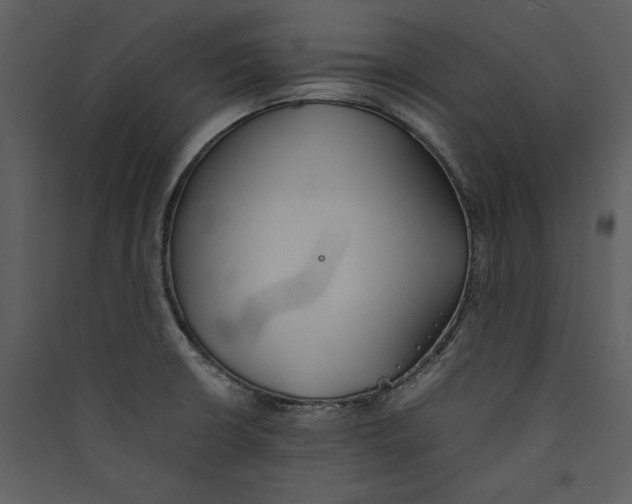 X0000089371426200707131627