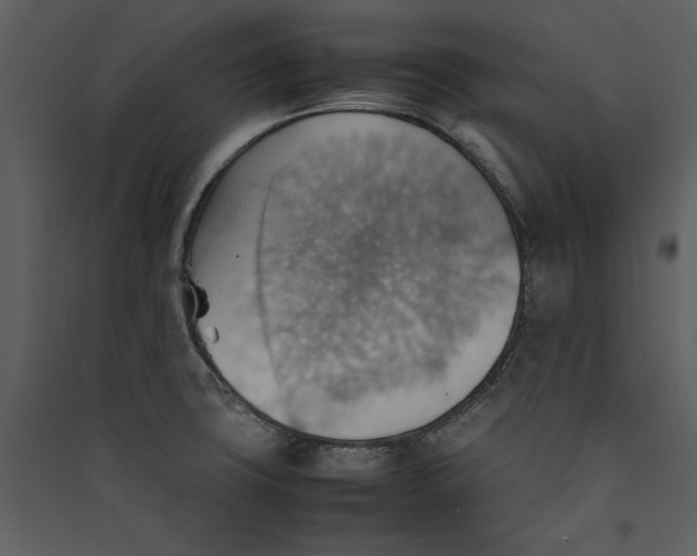 X0000089371427200707131627