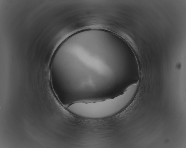 X0000089371428200707131627