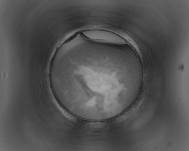 X0000089371429200707131627