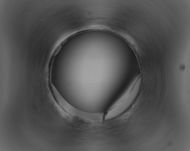 X0000089371430200707131627