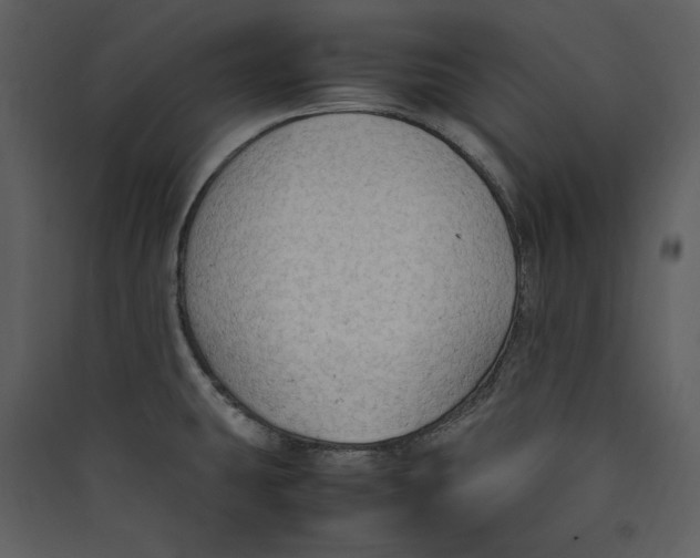 X0000089371431200707131627