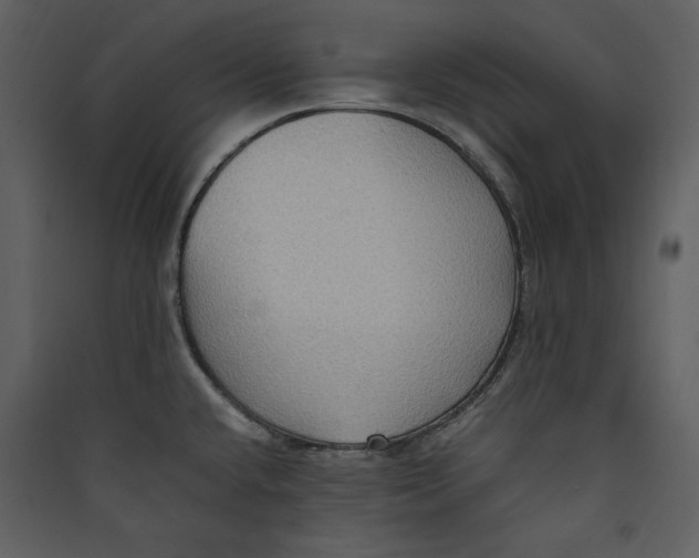 X0000089371432200707131627