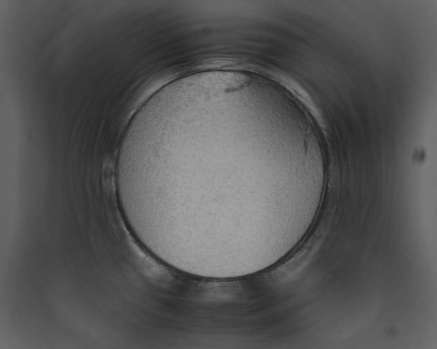 X0000089371433200707131627