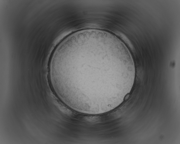 X0000089371435200707131627