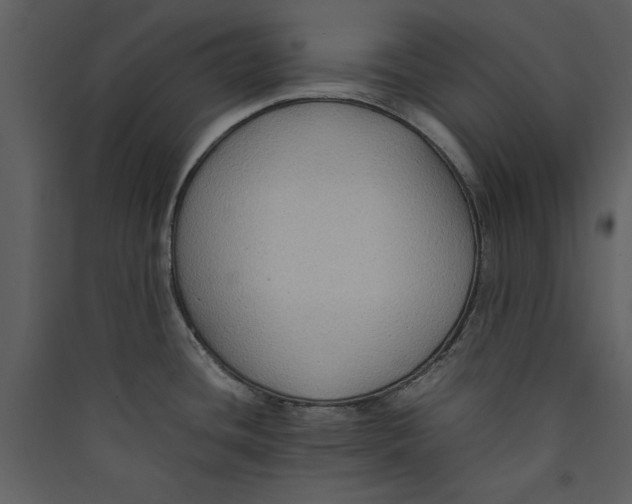 X0000089371436200707131627