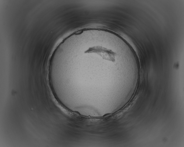 X0000089371437200707131627