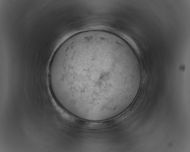 X0000089371439200707131627