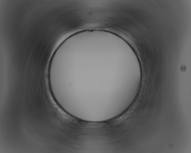 X0000089371440200707131627