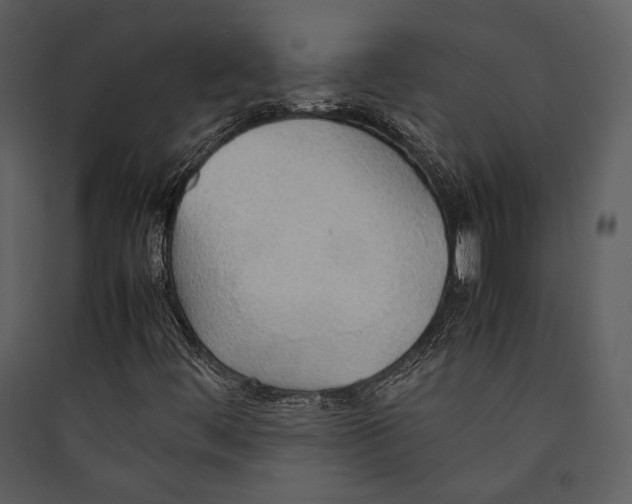 X0000089371444200707131626