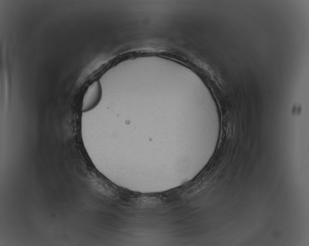 X0000089371448200707131626