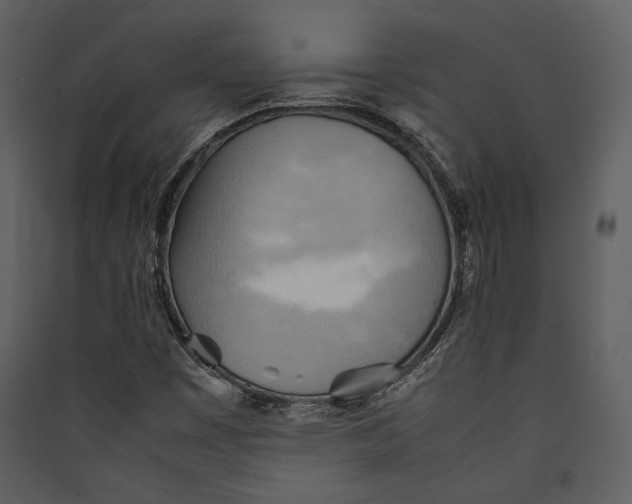 X0000089371449200707131626