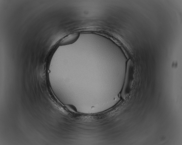 X0000089371450200707131626