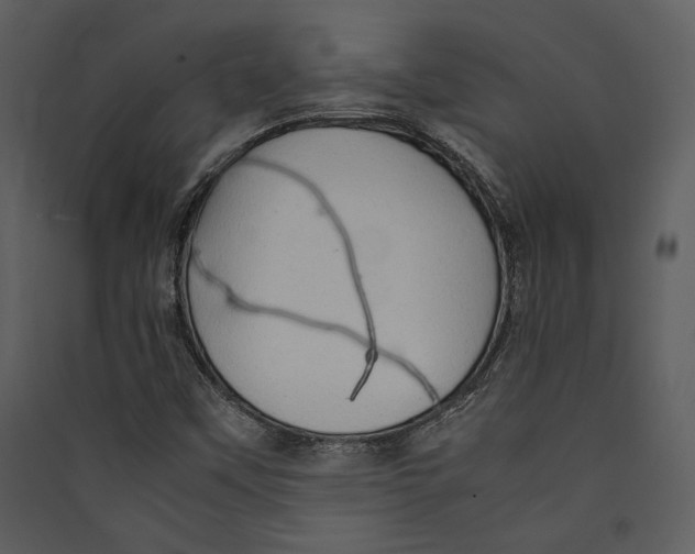 X0000089371451200707131626