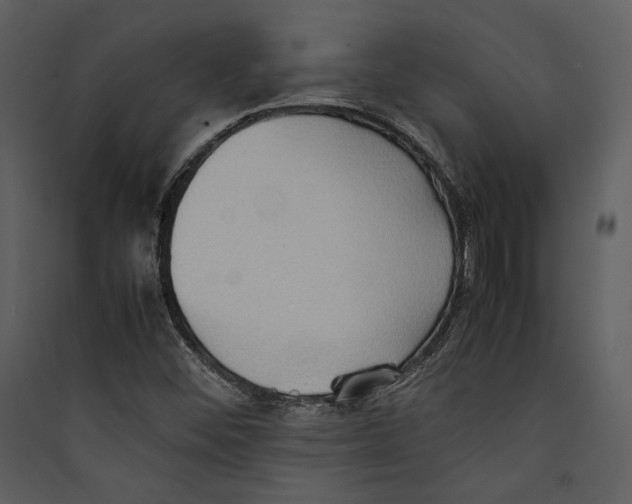 X0000089371452200707131626